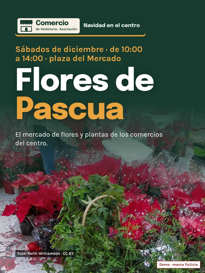 Post del mercado de flores de Pascua de los sábados de diciembre