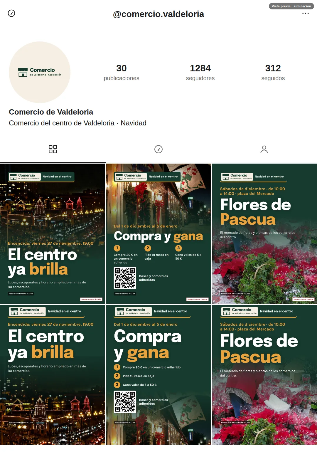 Simulación de la cuadrícula de un perfil con varias piezas de la misma campaña y la misma marca